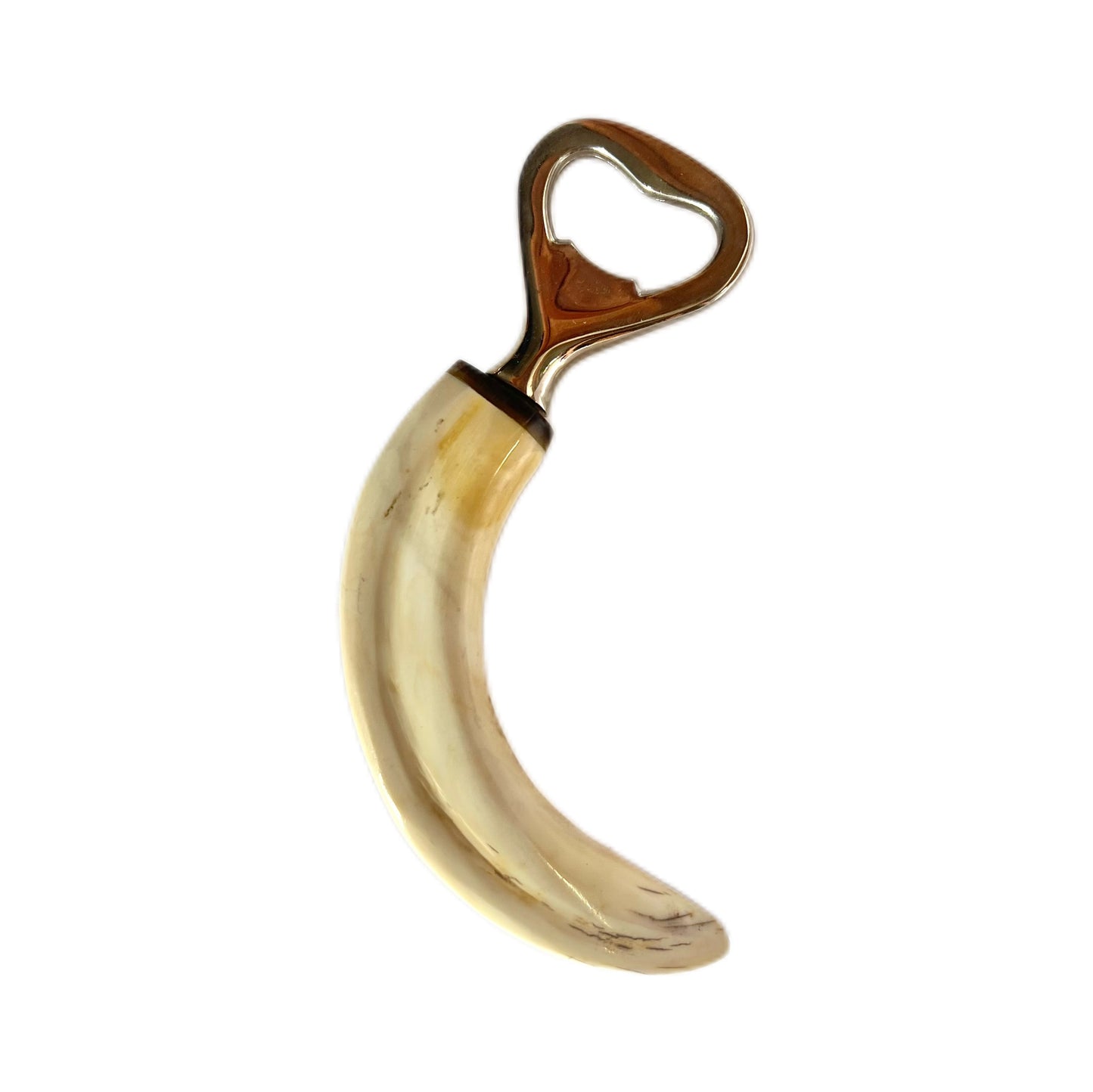 Vintage boar’s tooth bottle opener