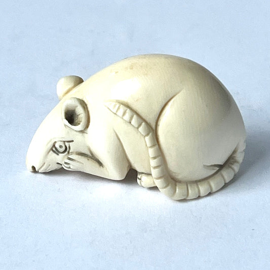 Antique Japanese ivory netsuke of a rat is signed by Tsura