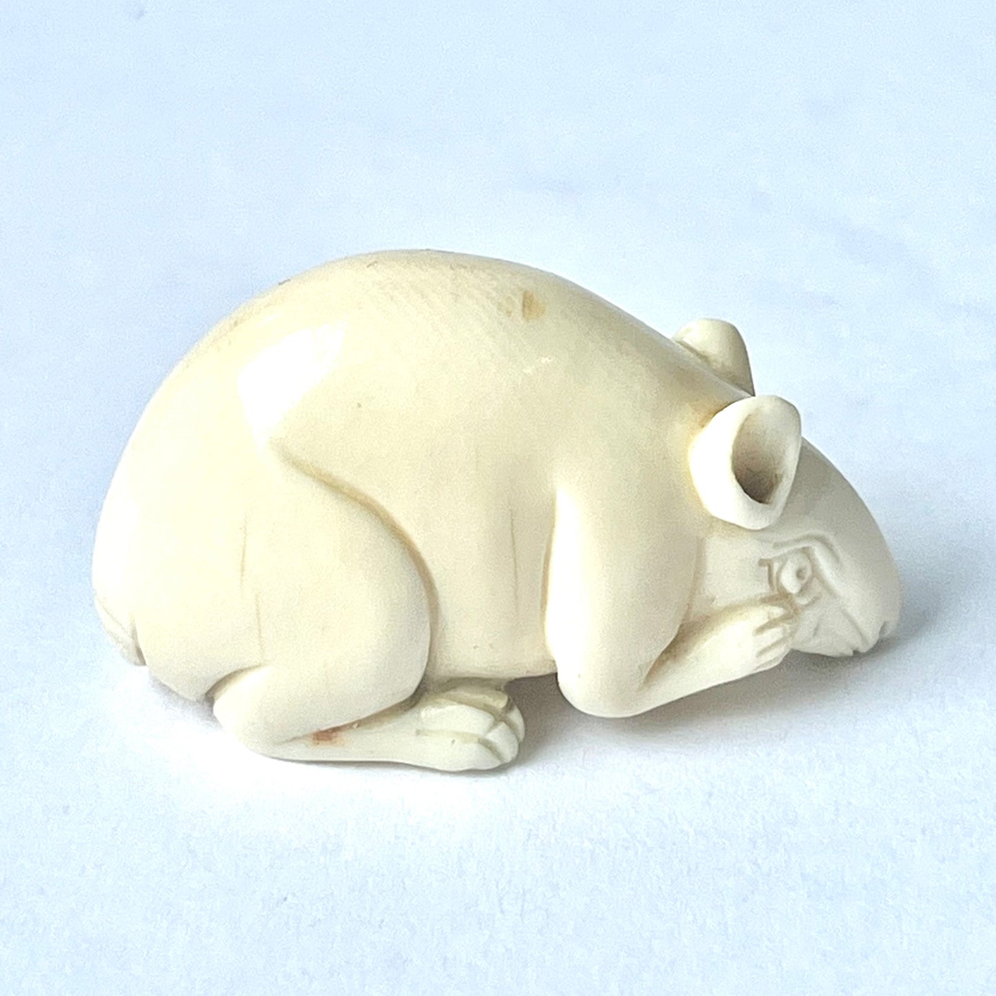 Antique Japanese ivory netsuke of a rat is signed by Tsura