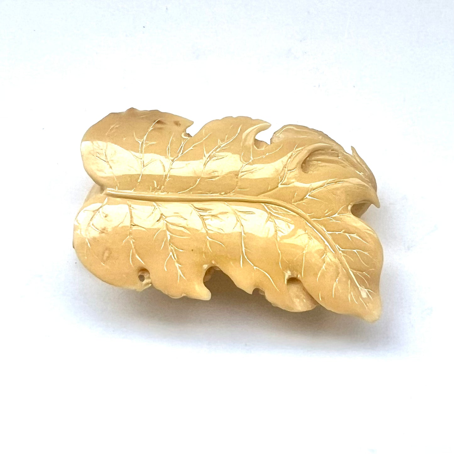 Antique Japanese ivory okimono depicting a toad upon a leaf circa mid-Meiji Period