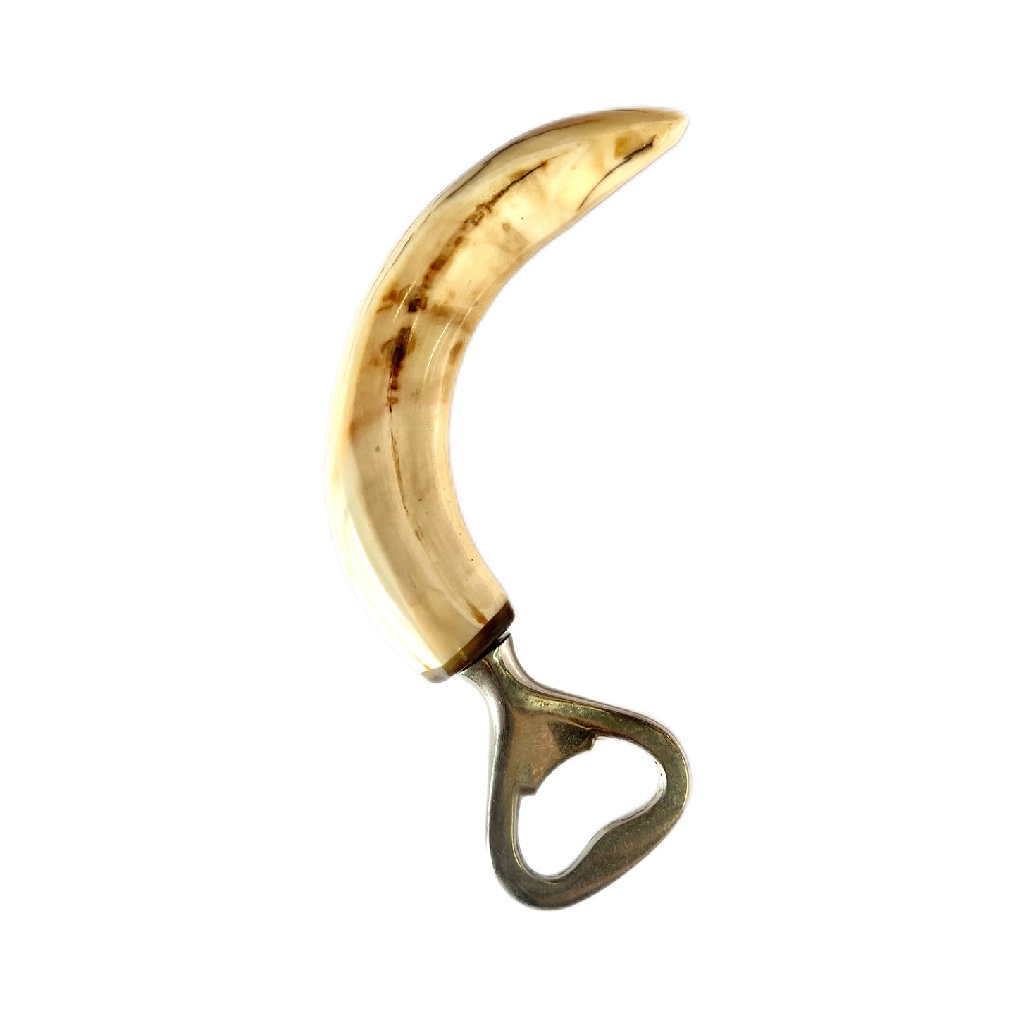 Vintage boar’s tooth bottle opener
