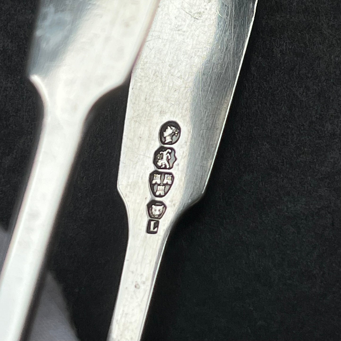Victorian provincial sterling silver tongs with thick gauge and crisp hallmarks. Thomas Sewell I, Newcastle, 1850