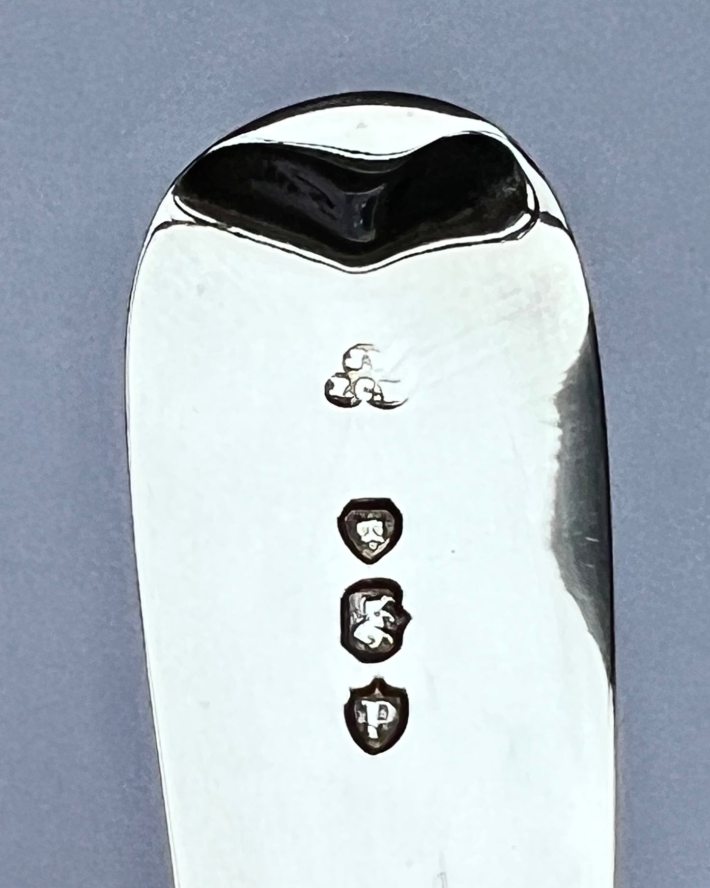 维多利亚晚期银质黄油刀,上面精美雕刻着蕨类植物和常春藤的叶子图案,为詹姆斯·韦克利 (James Wakely) 和弗兰克·克拉克·惠勒 (Frank Clarke Wheeler) 制作,伦敦 1890 年。