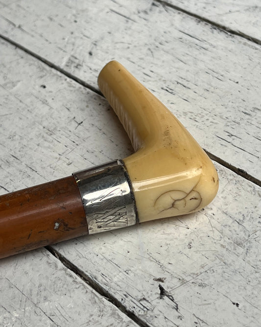 Handsome late Victorian ivory-handled walking stick with sterling silver collar