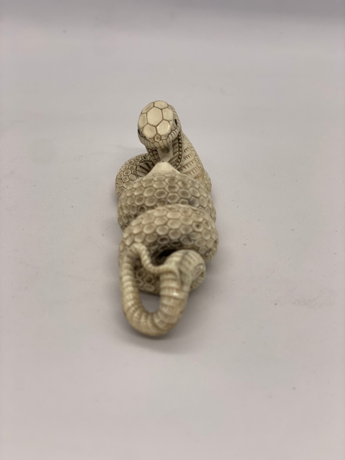 Netsuke japonés antiguo de marfil de la época Meiji de una serpiente devorando una rana