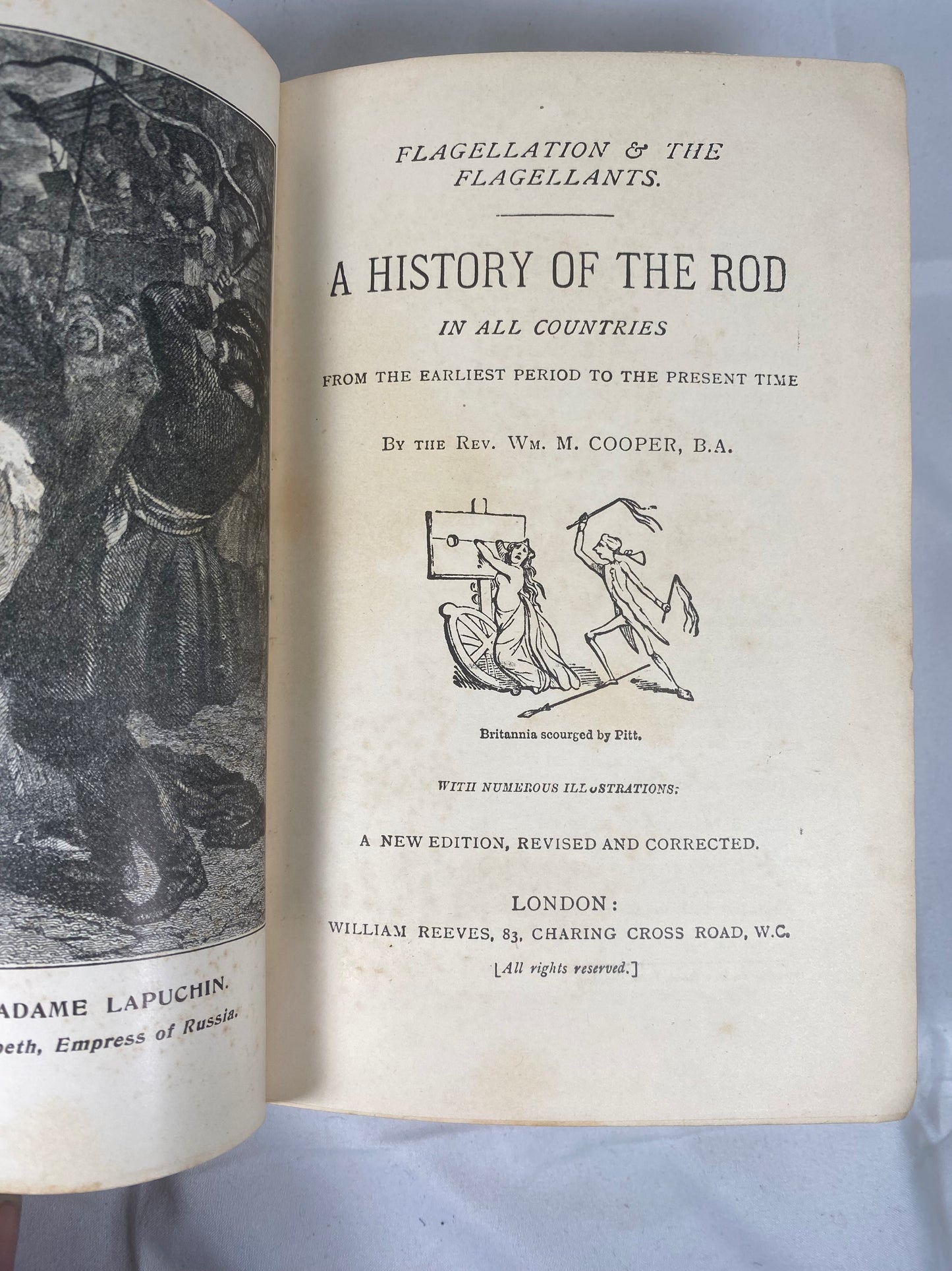 鞭笞与鞭笞者:鞭笞的历史。精美古书,第一修订版,1896 年。