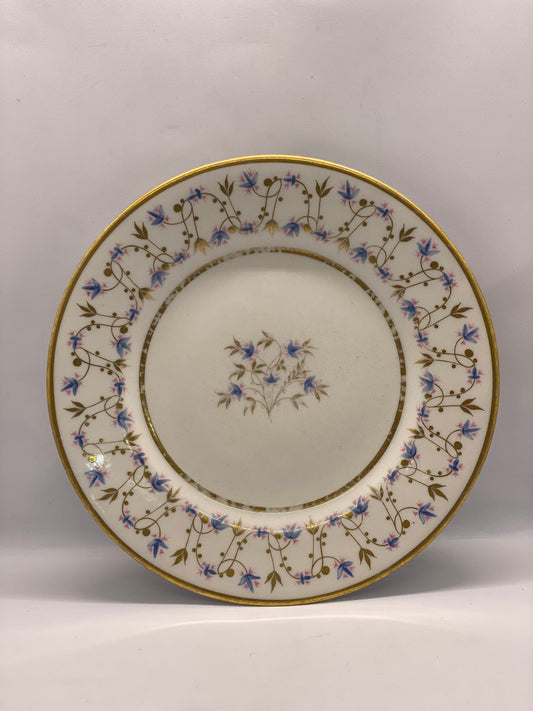 Early 19th Century Worcester Porcelain Dinner Plate (Flight Barr & Barr Period)