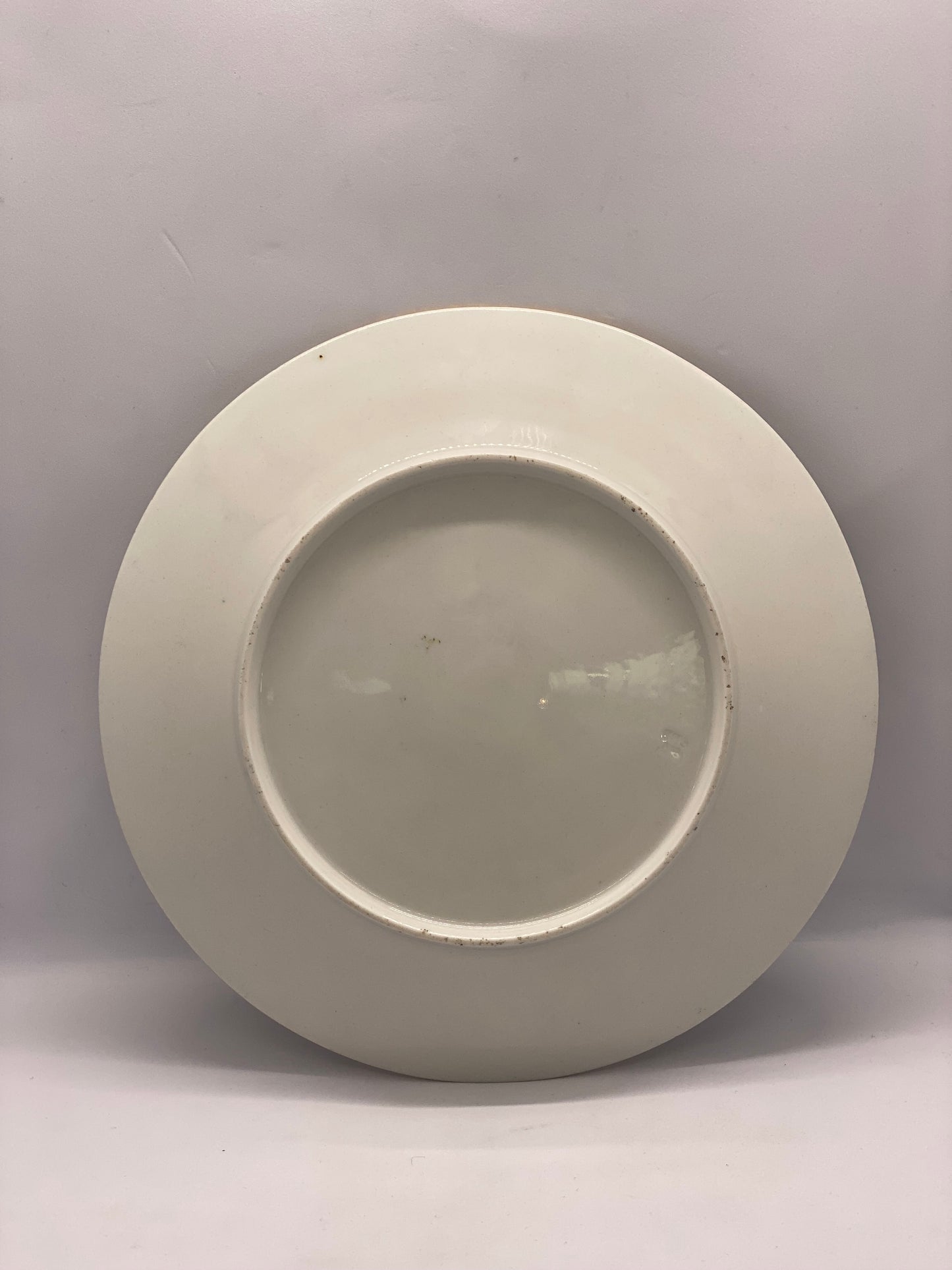 19 世纪早期伍斯特瓷器餐盘(Flight Barr & Barr 时期)