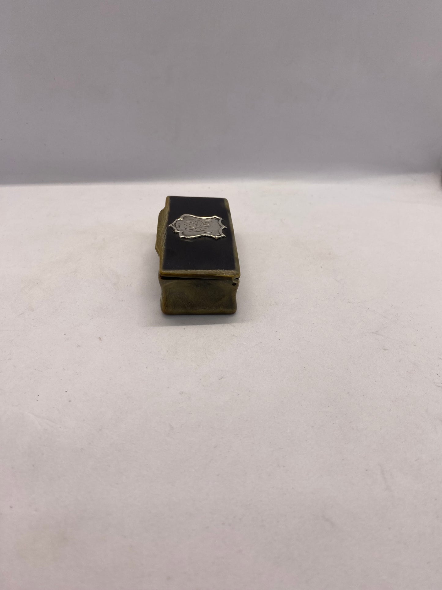 19 世纪晚期维多利亚风格的角质纯银鼻烟盒。