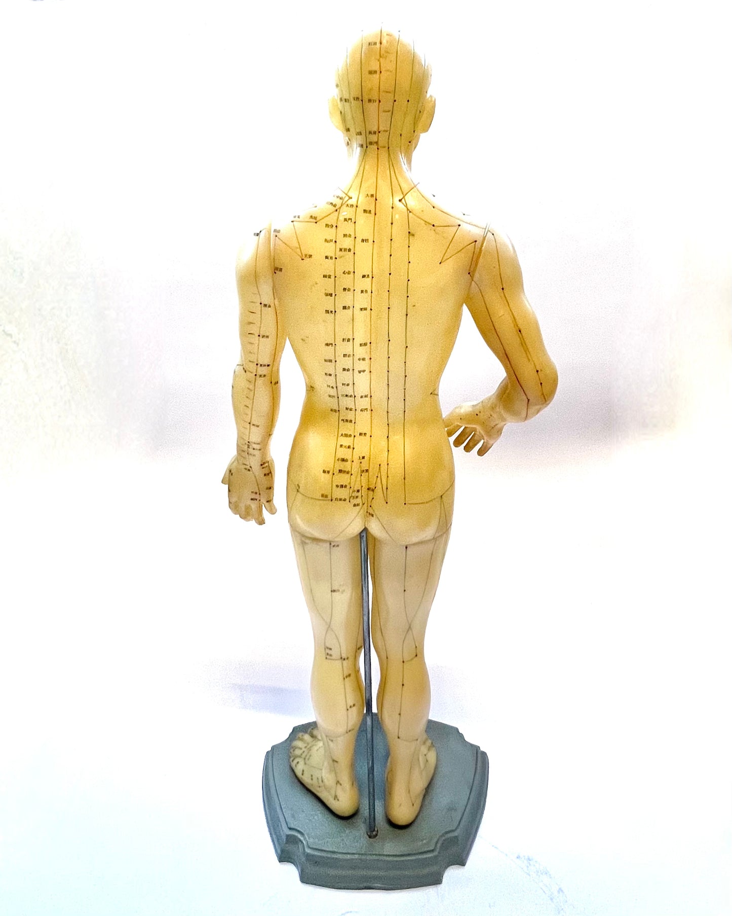 Vintage Chinese rubber acupuncture anatomical model