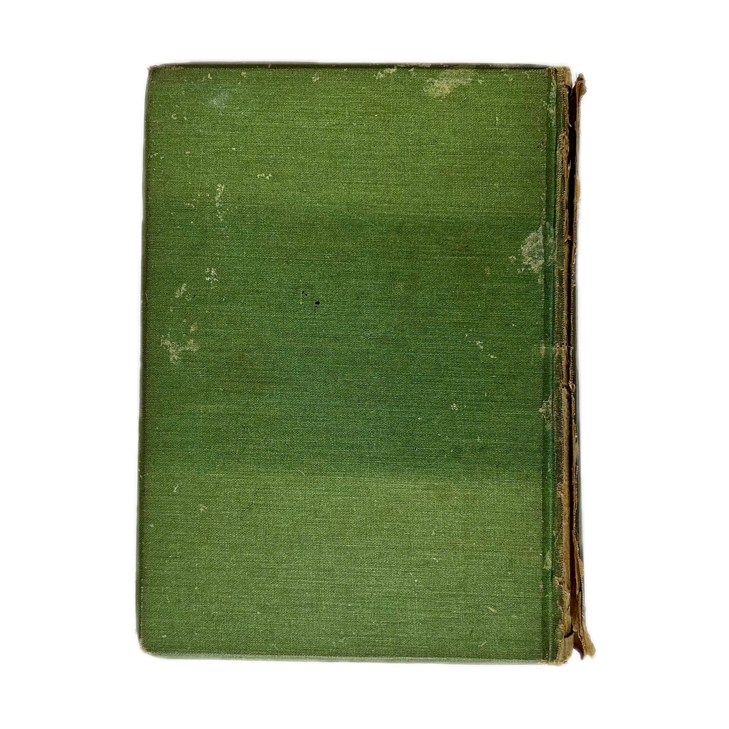 Antiquarian 1900 edition of Arthur Dixon’s The Water-Babies