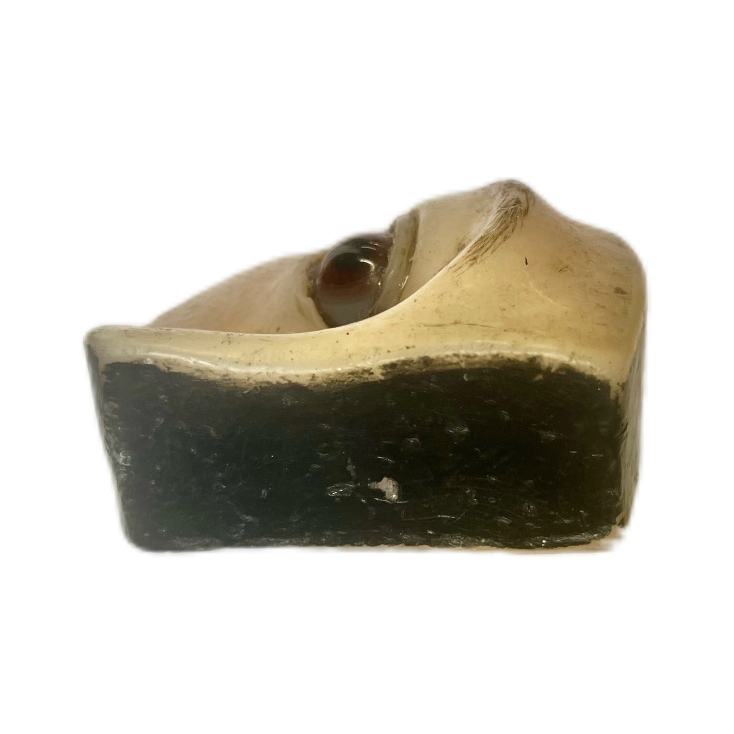 Antique John Weiss & Co eye speculum and wax eye model