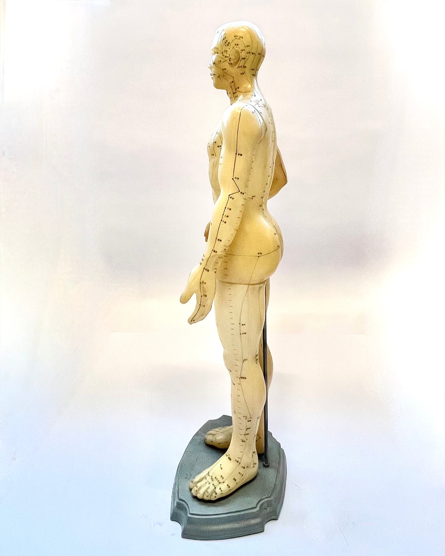 Vintage Chinese rubber acupuncture anatomical model