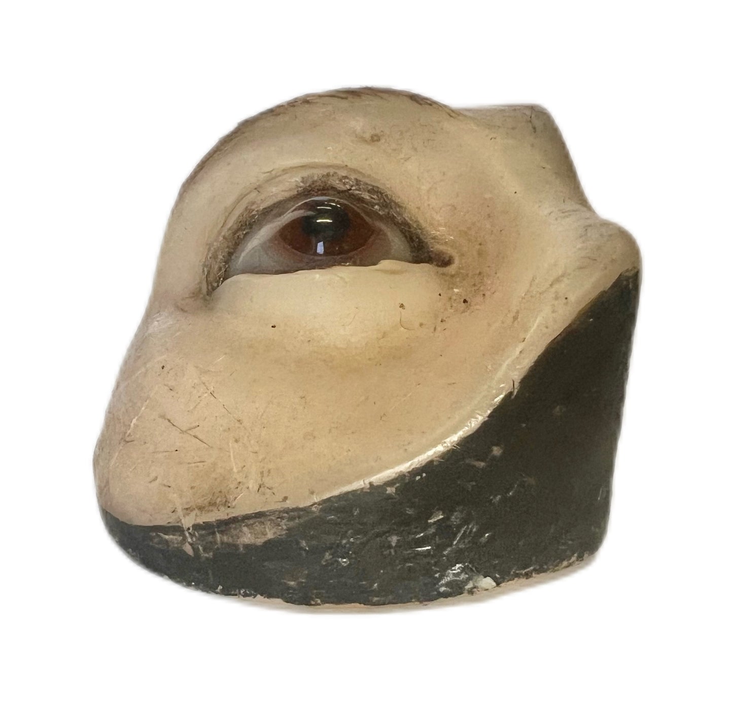 Antique John Weiss & Co eye speculum and wax eye model