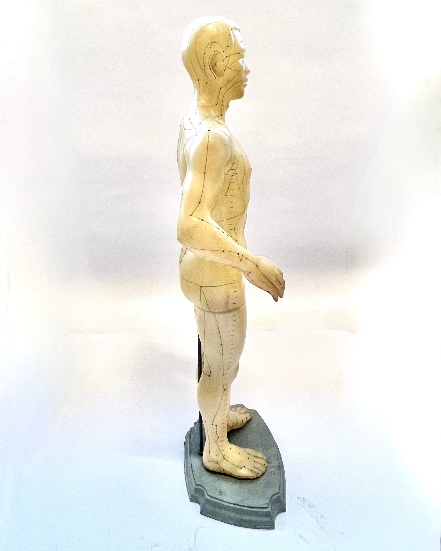 Vintage Chinese rubber acupuncture anatomical model