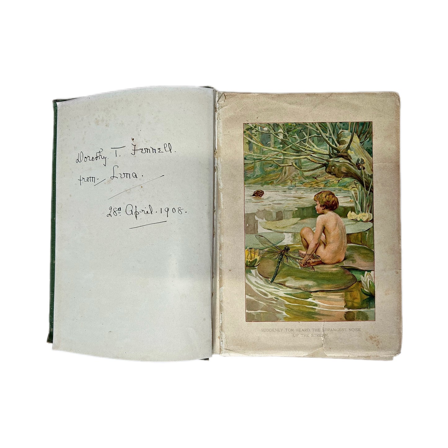 Antiquarian 1900 edition of Arthur Dixon’s The Water-Babies