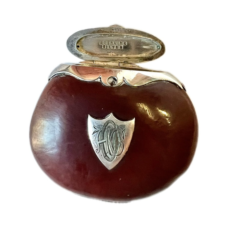 Antique Australian colonial period Burra nut vesta case with sterling silver mounts