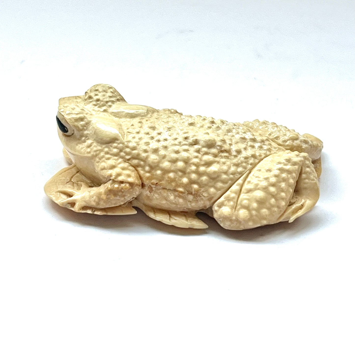 Antique Japanese ivory okimono depicting a toad upon a leaf circa mid-Meiji Period