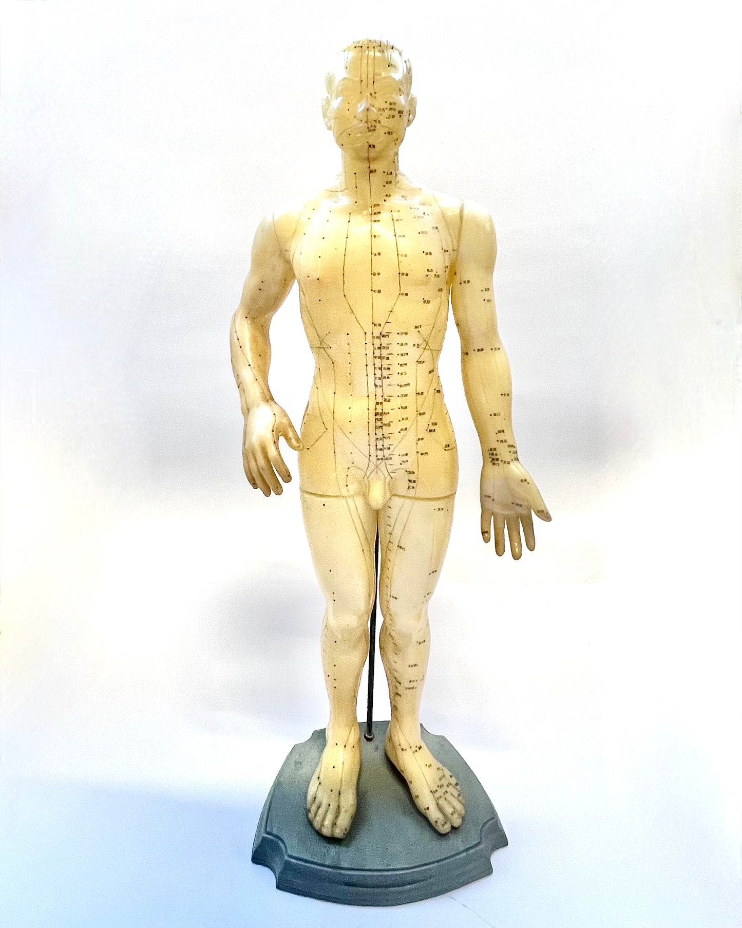 Vintage Chinese rubber acupuncture anatomical model