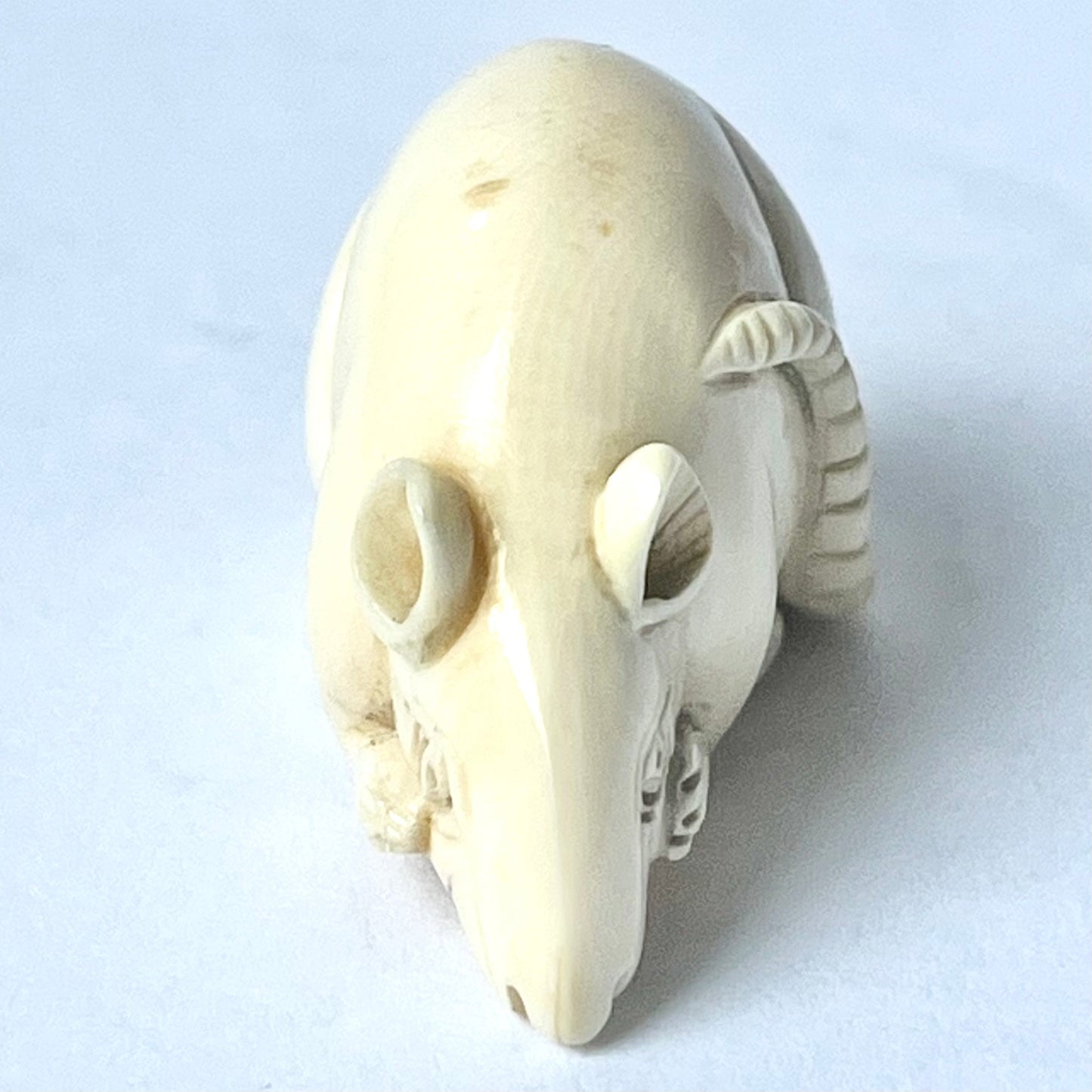 Antique Japanese ivory netsuke of a rat is signed by Tsura