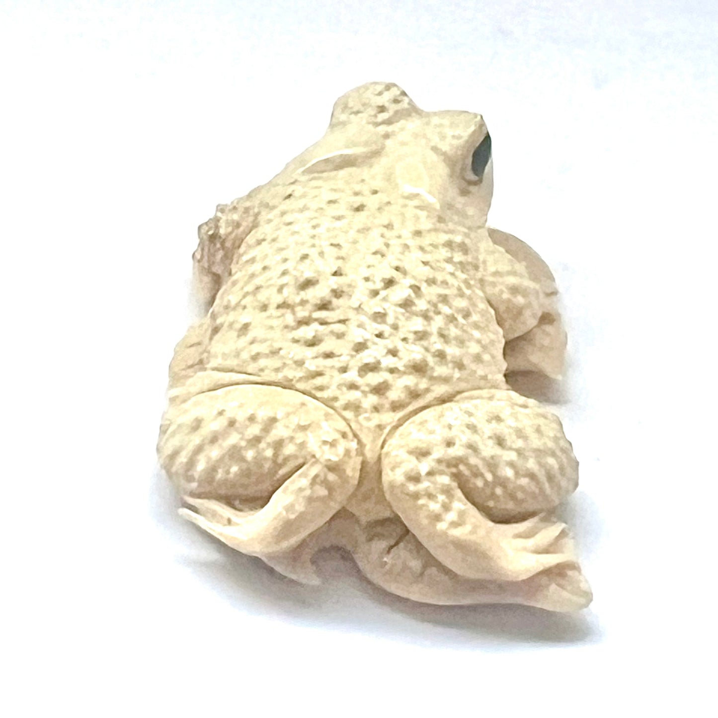 Antique Japanese ivory okimono depicting a toad upon a leaf circa mid-Meiji Period