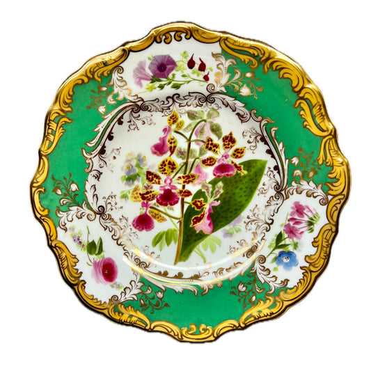 19 世纪晚期的科普兰瓷手绘盘，采用罗金厄姆风格制作