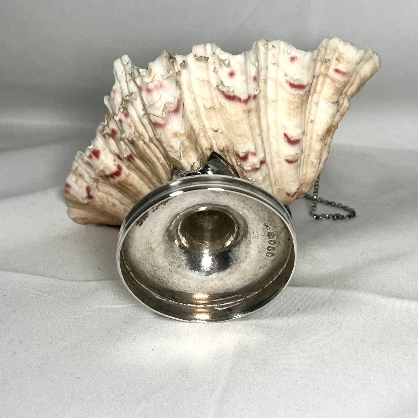 卓越的威廉四世纯银和贝壳旅行墨水瓶，为 TD 标志，伦敦 1834 年。