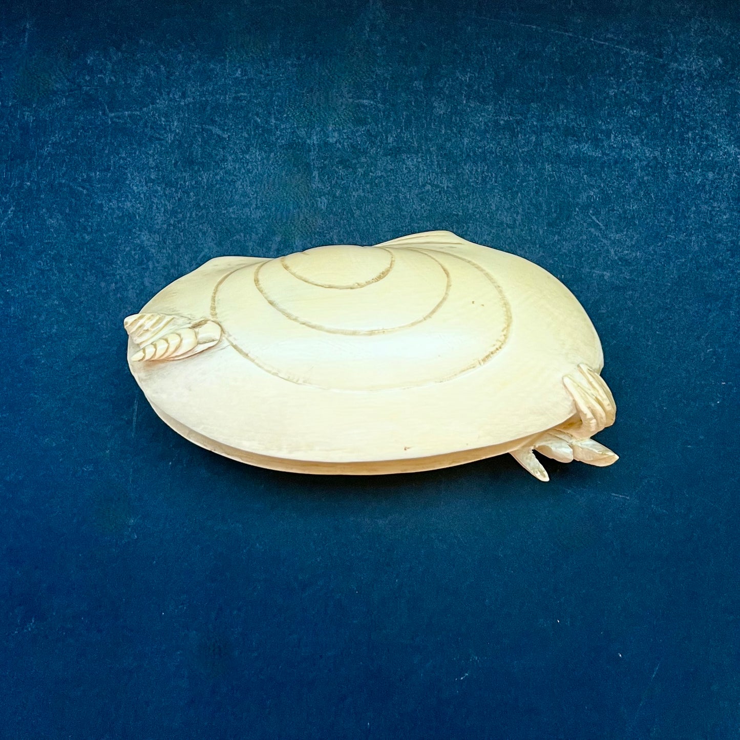 罕见而可爱的 20 世纪早期中国穴堀式“蛤蜊之梦”雕刻，约 20 世纪 20 年代