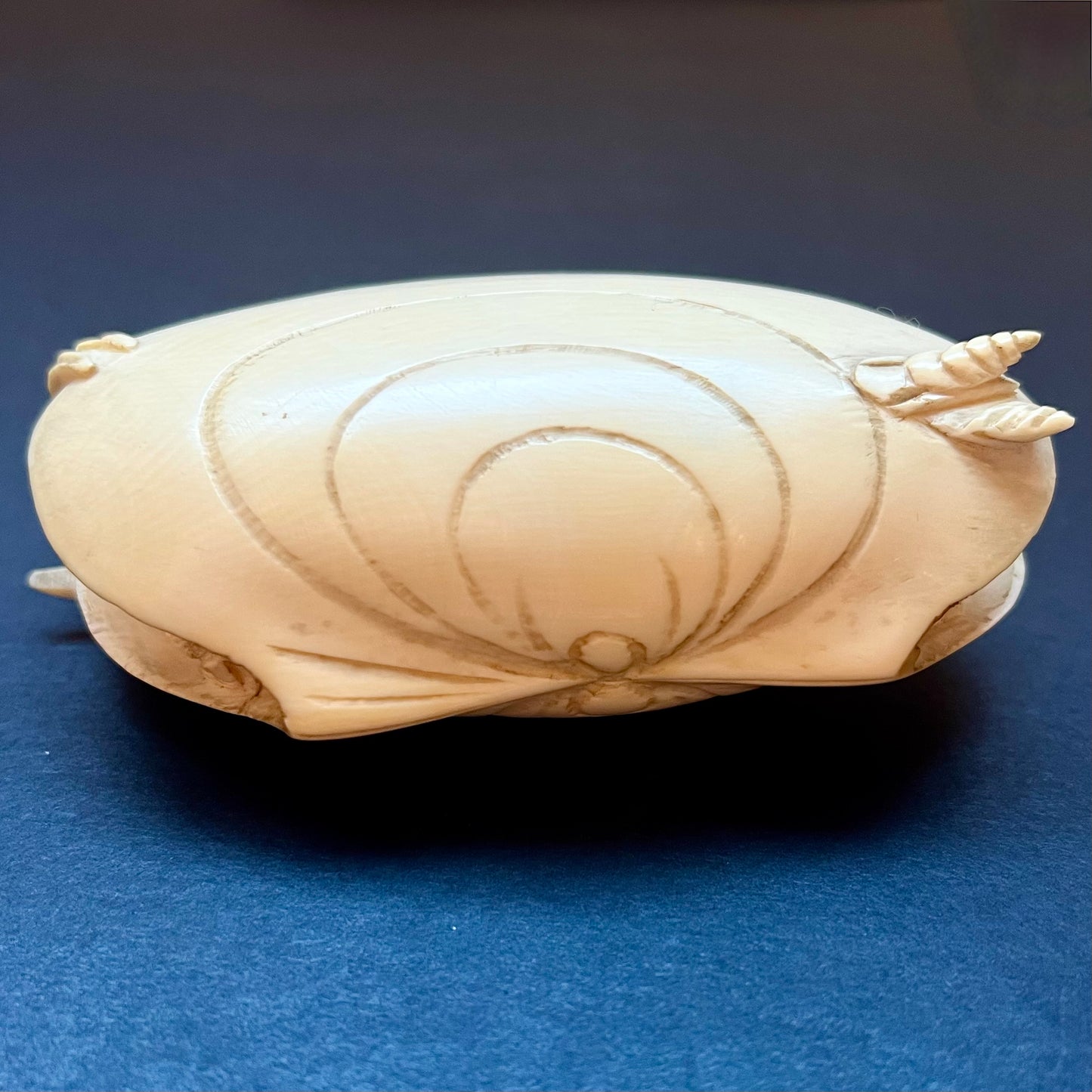 罕见而可爱的 20 世纪早期中国穴堀式“蛤蜊之梦”雕刻，约 20 世纪 20 年代