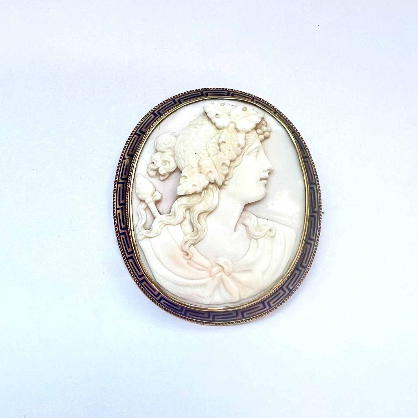 Superb and rare High Victorian Tessier gold and shell cameo mourning brooch with blue enamelled border