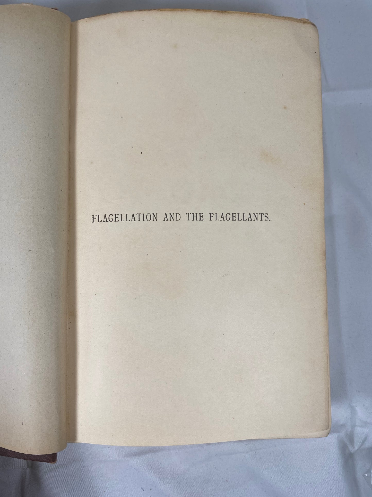 鞭笞与鞭笞者：鞭笞的历史。精美古书，第一修订版，1896 年。