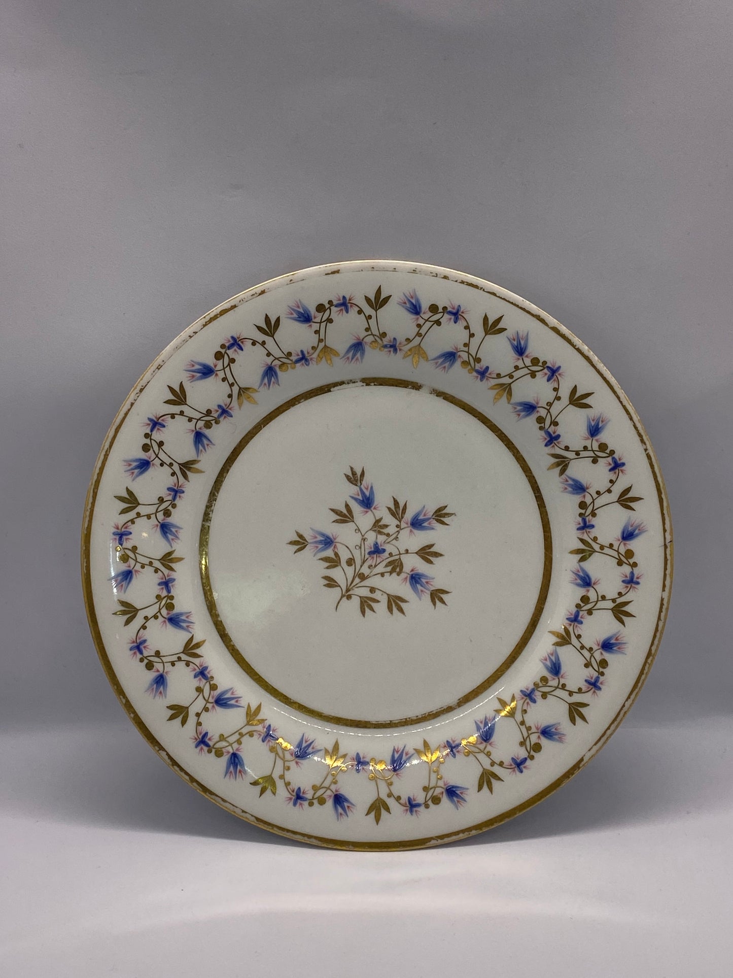 Early 19th Century Worcester Porcelain Dinner Plate (Flight Barr & Barr Period)